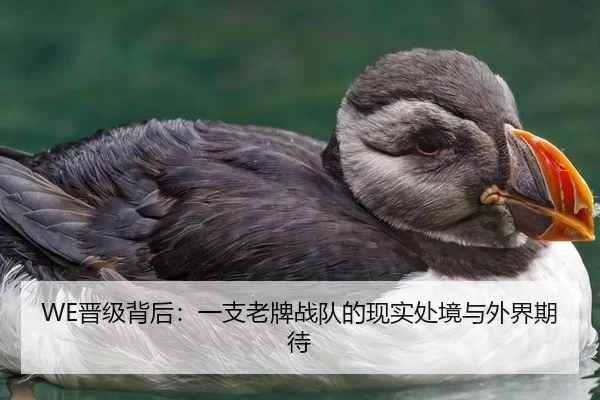 WE晋级背后：一支老牌战队的现实处境与外界期待 | kaiyun